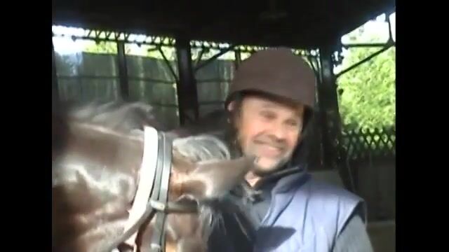L'homme qui murmure à l'oreille des chevaux